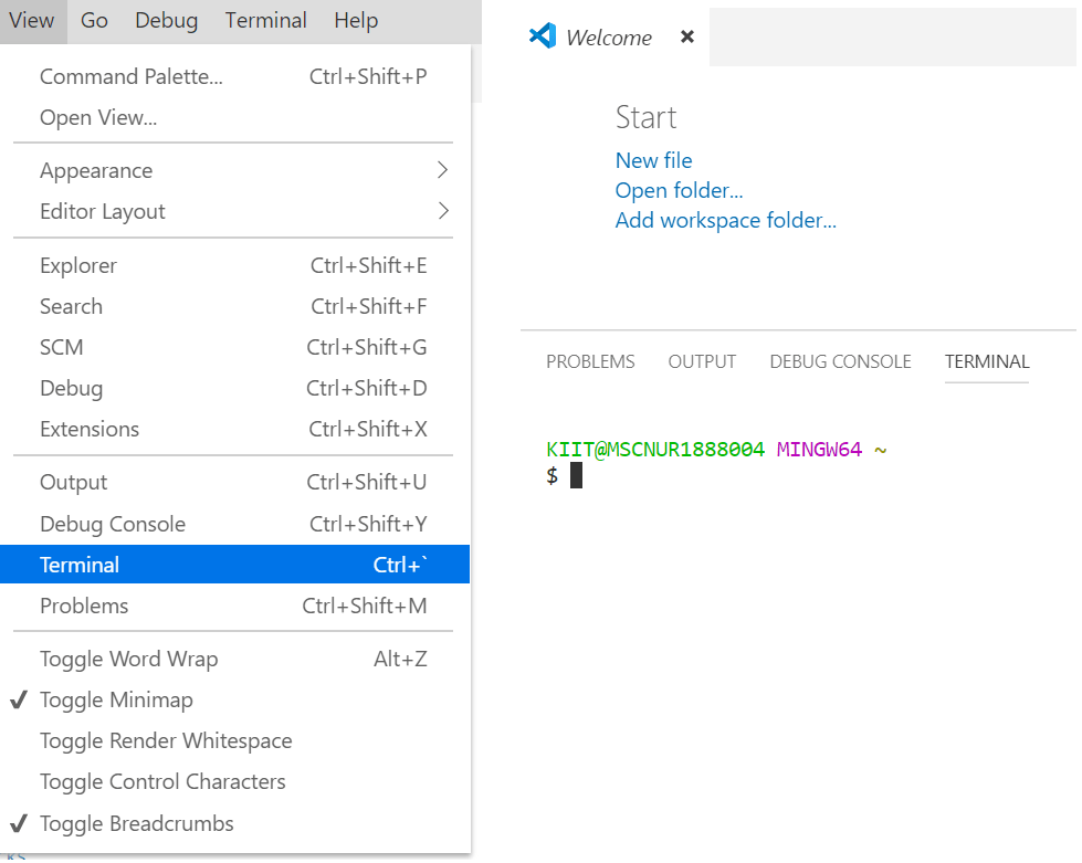 vscode-terminal