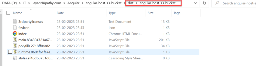 angular ng-build result